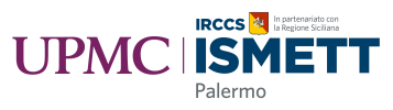 logo-ISMETT s.r.l.